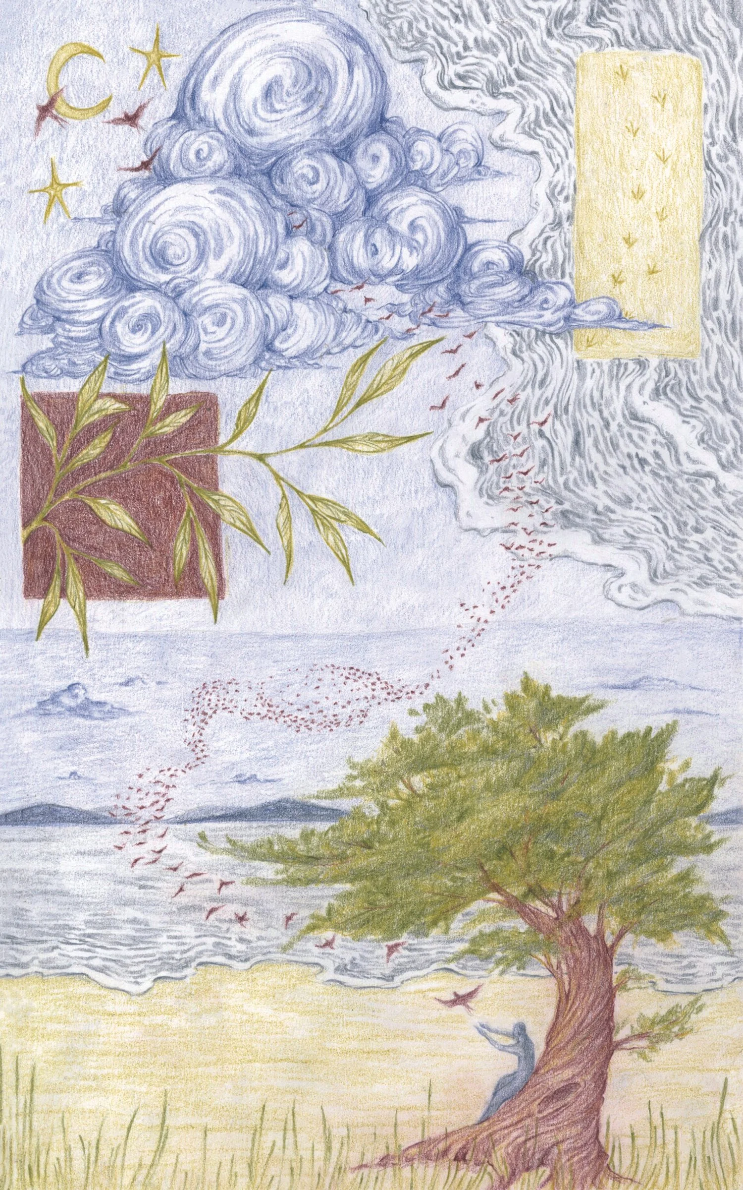 Nature as Teacher, chapter illustration for The Creative Act by Rick Rubin - colored pencil (2025)
