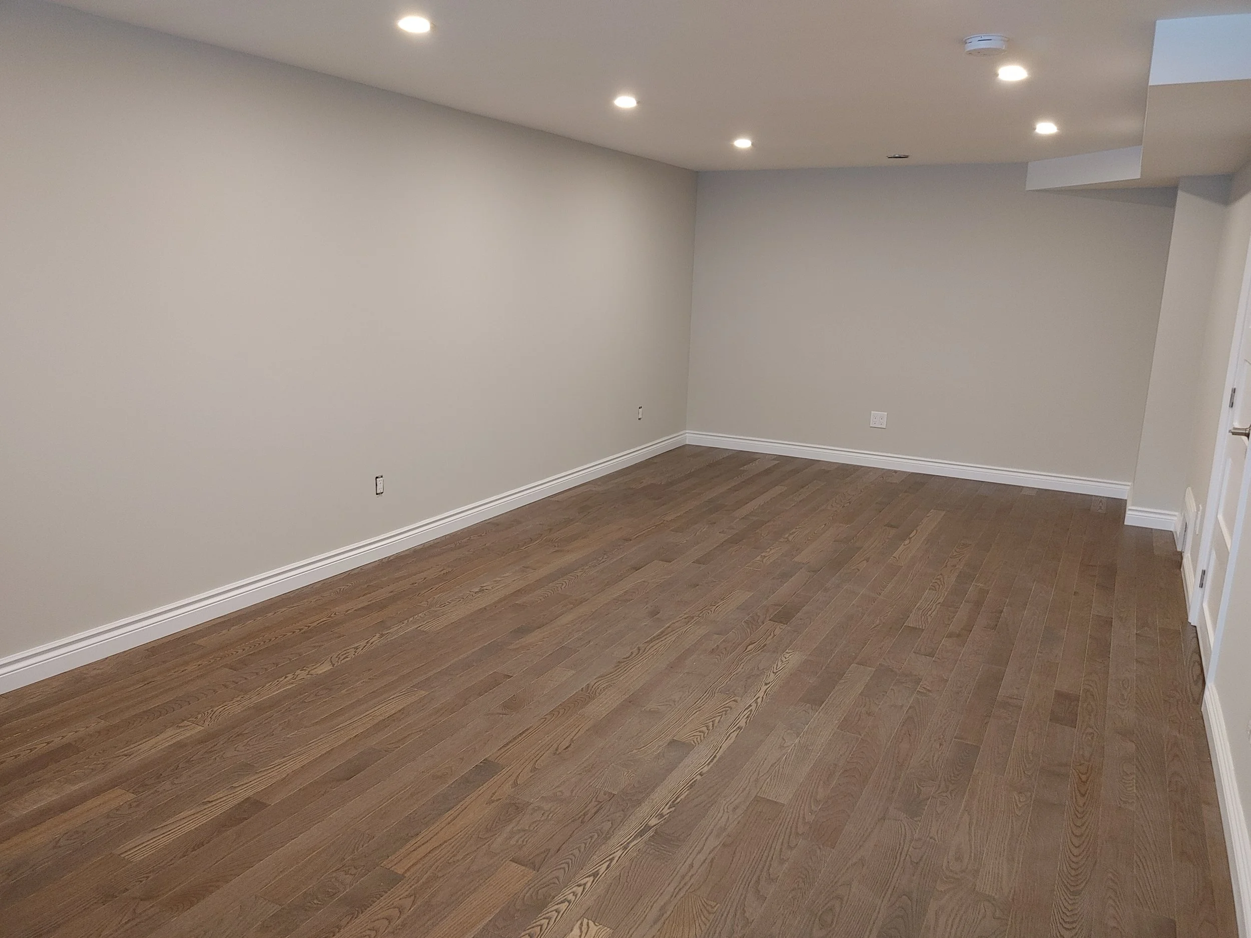 Full Basement Renovation.jpeg