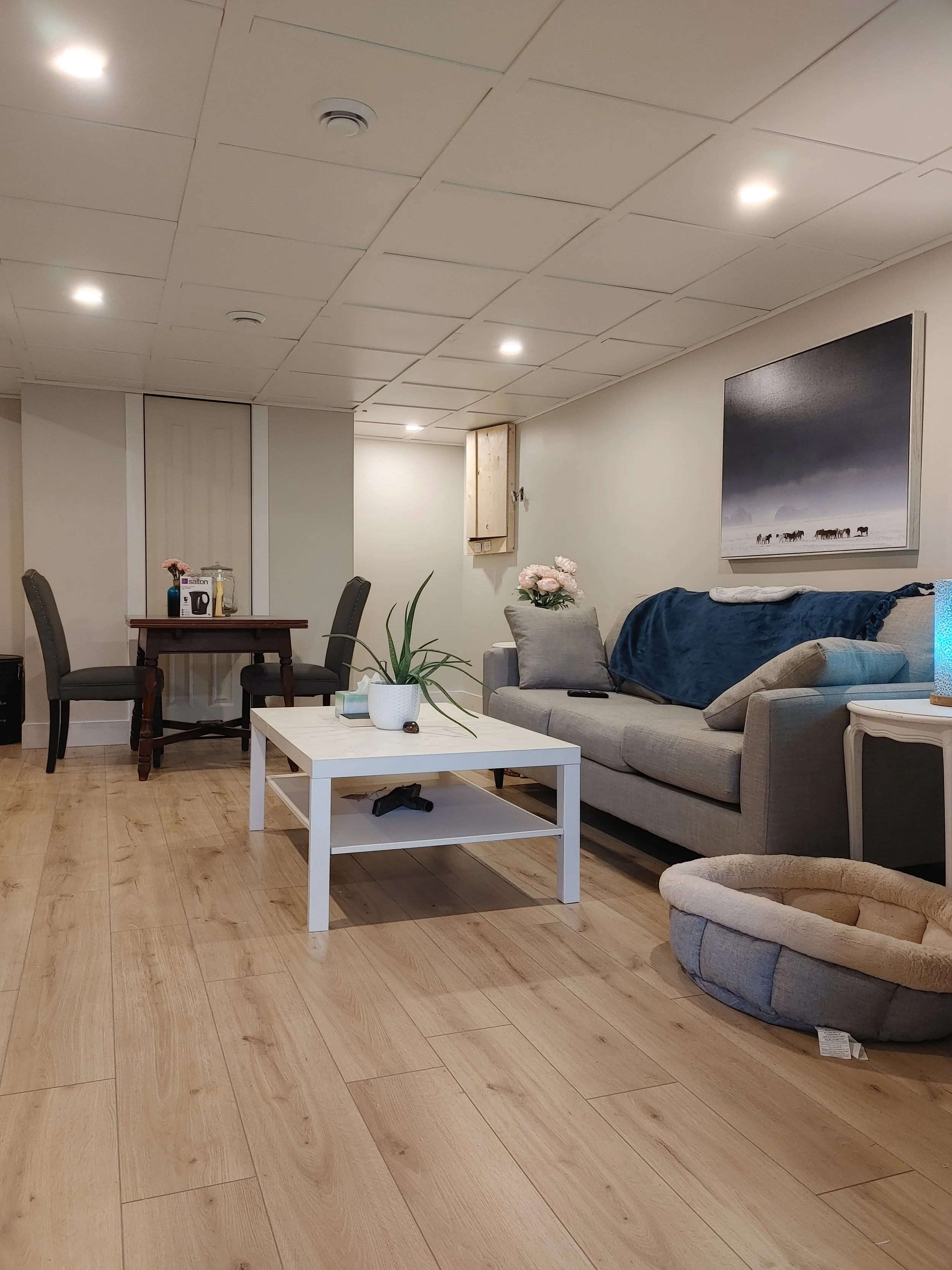 Full Basement Renovation .jpeg