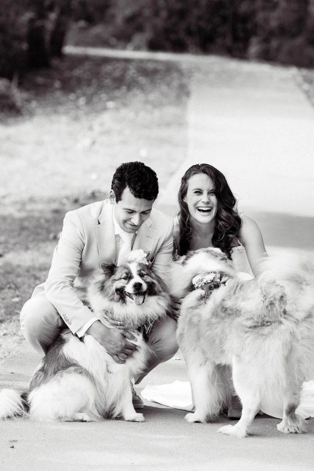 LM711P38-trouwfotograaf-lommerrijk-rotterdam-bruidspaar-fotoshoot-honden.jpg