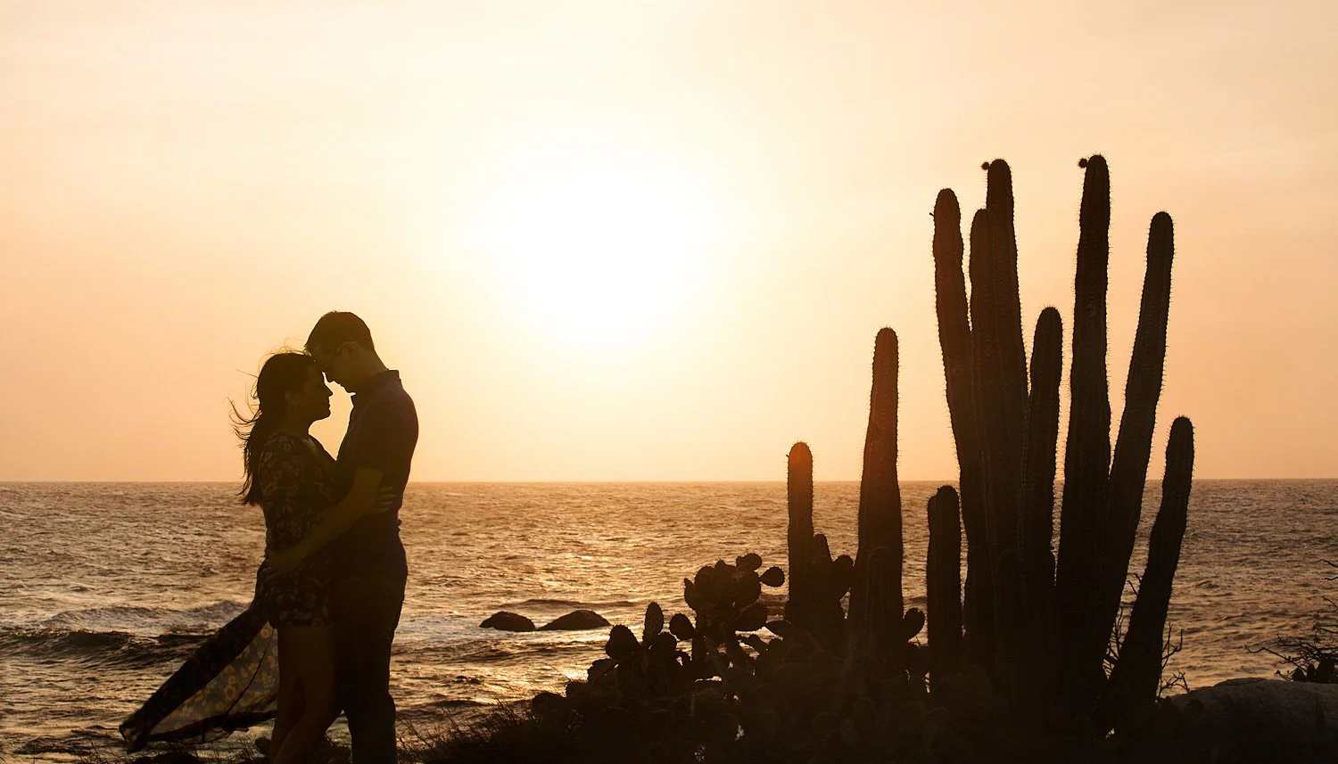 LM421_54-bruidsfotograaf-aruba-destination-wedding-couple-shoot-silhouet-cactus.jpg
