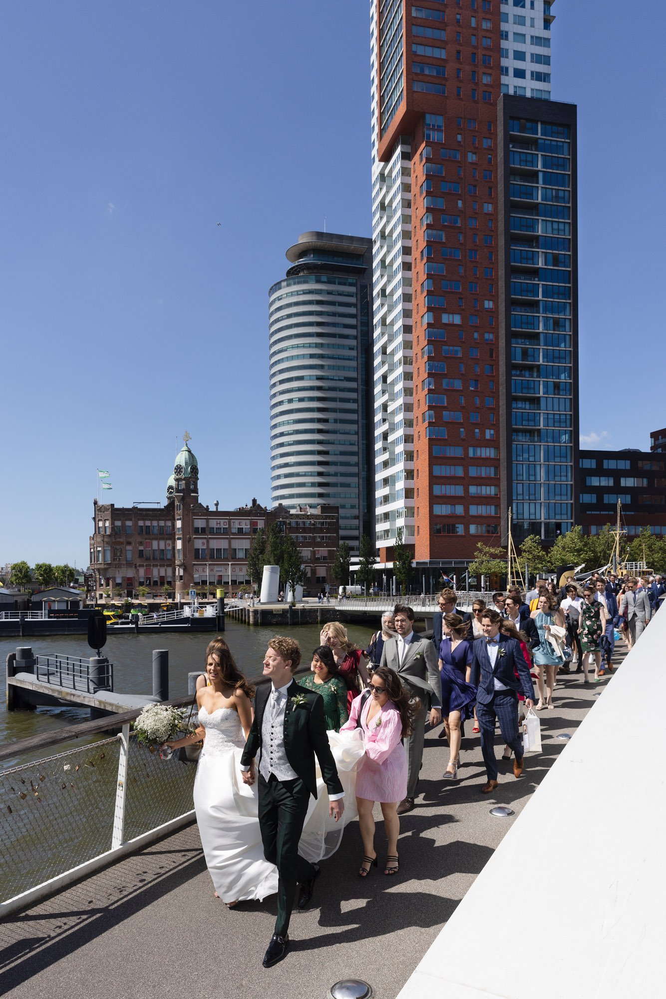 LM593_FAV024 PROMO.jpg