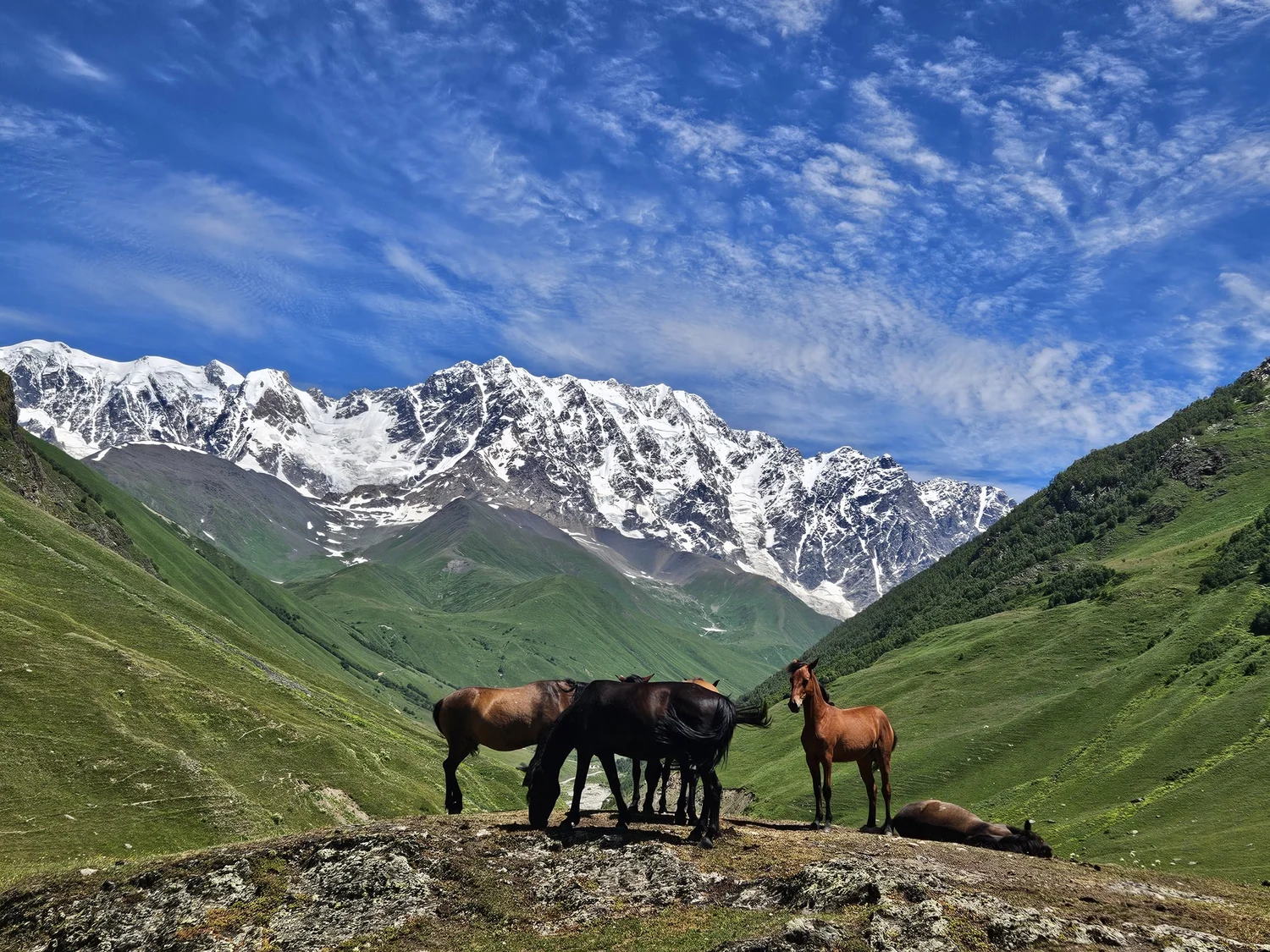 Georgia Trail in Svaneti