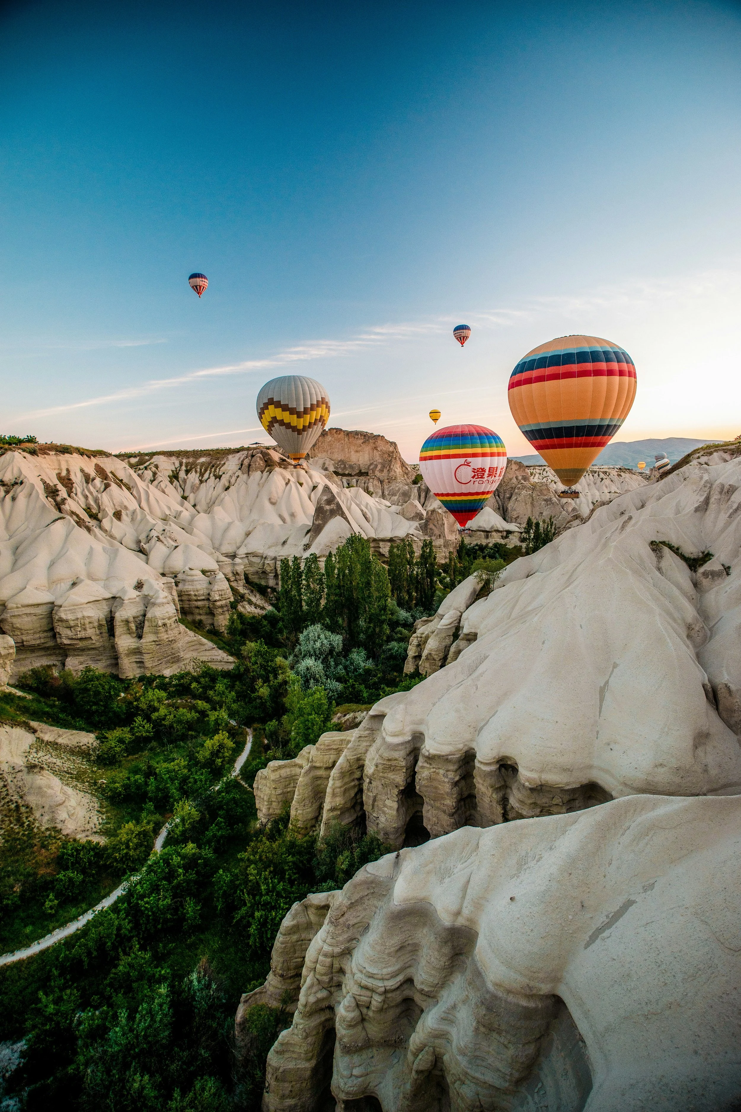 tony-lee-nZlaCQlYAnA-unsplash.jpg