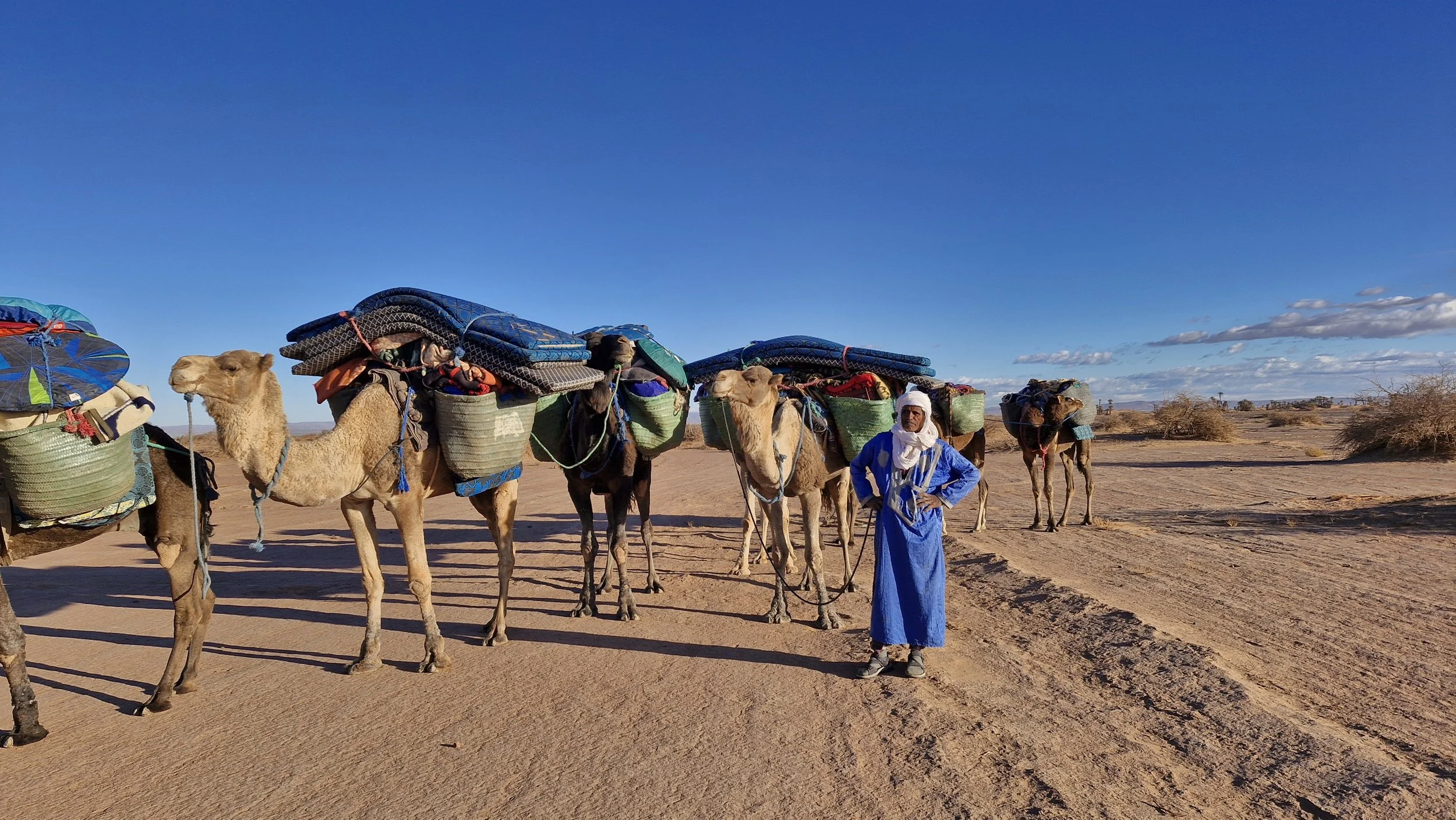 Kamelenkaravaan in de Sahara