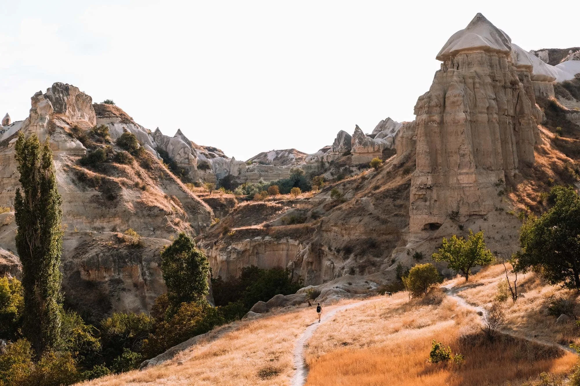 Het landschap van Cappadocië