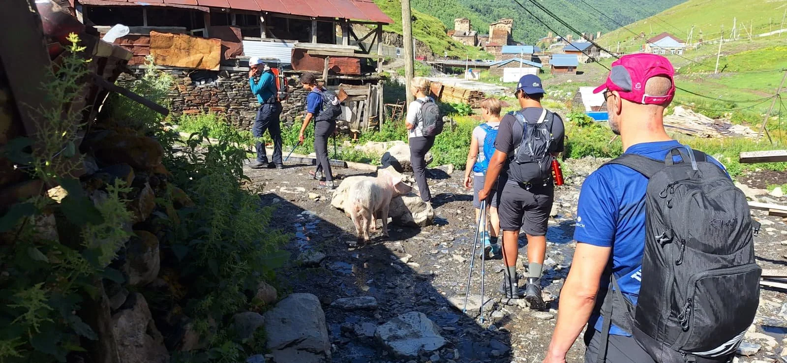 WhatsApp Image 2026-02-10 at 10.15.22.jpeg