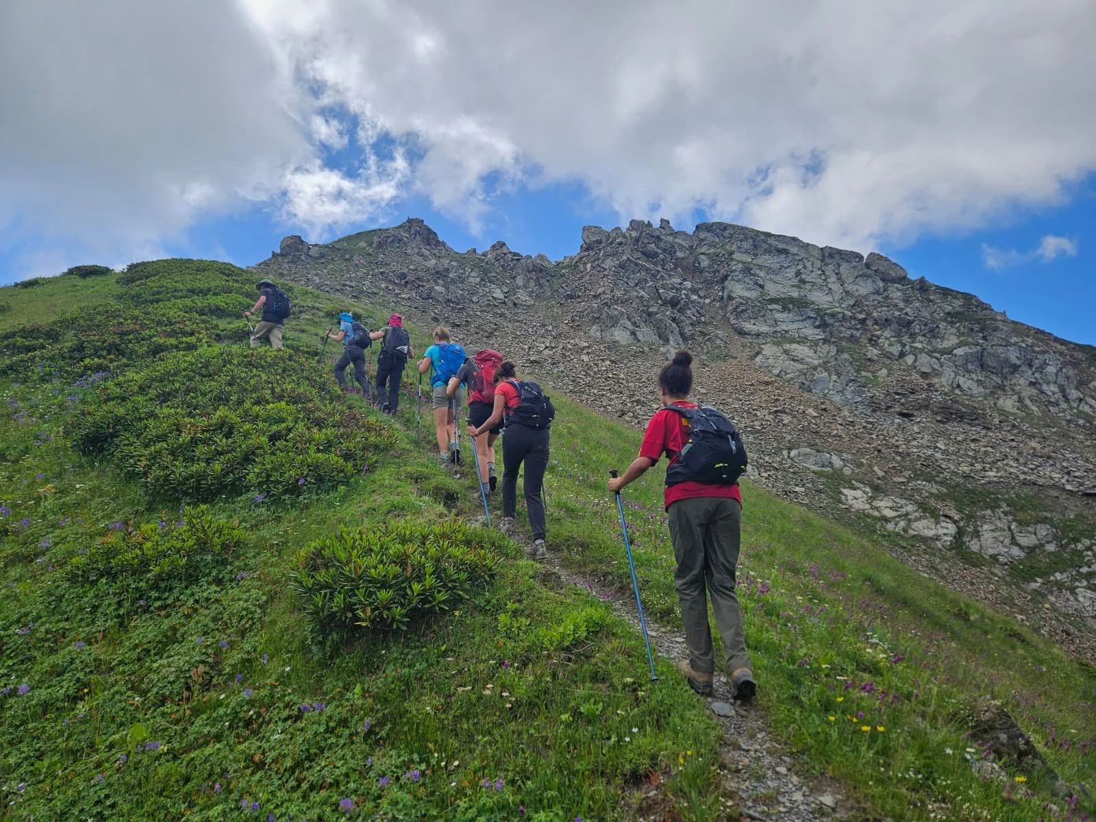 WhatsApp Image 2026-02-10 at 10.16.08-3.jpeg