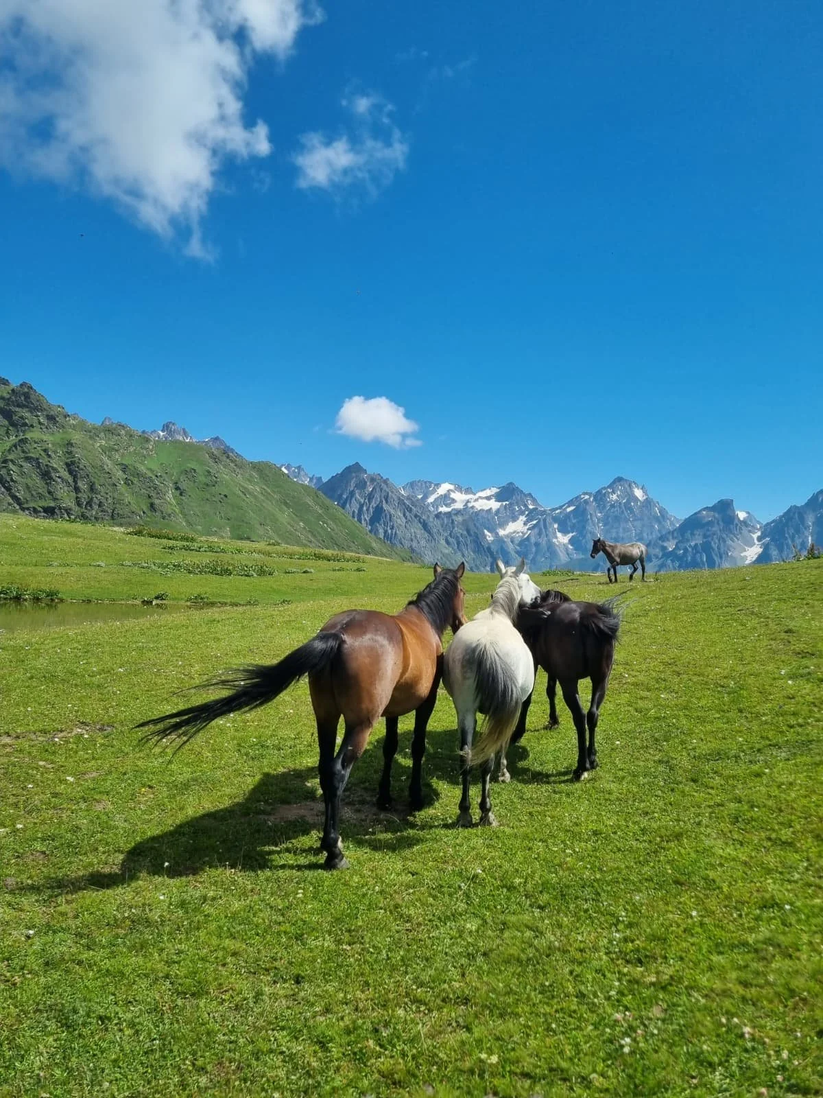 WhatsApp Image 2026-02-10 at 10.16.06.jpeg