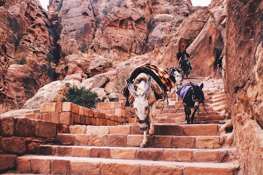Petra in Jordanië