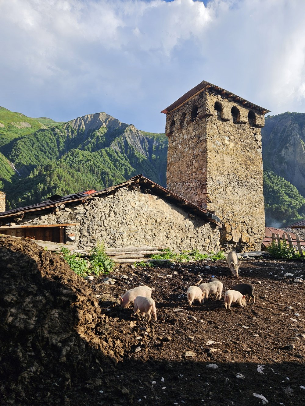 Guesthouse in Svaneti