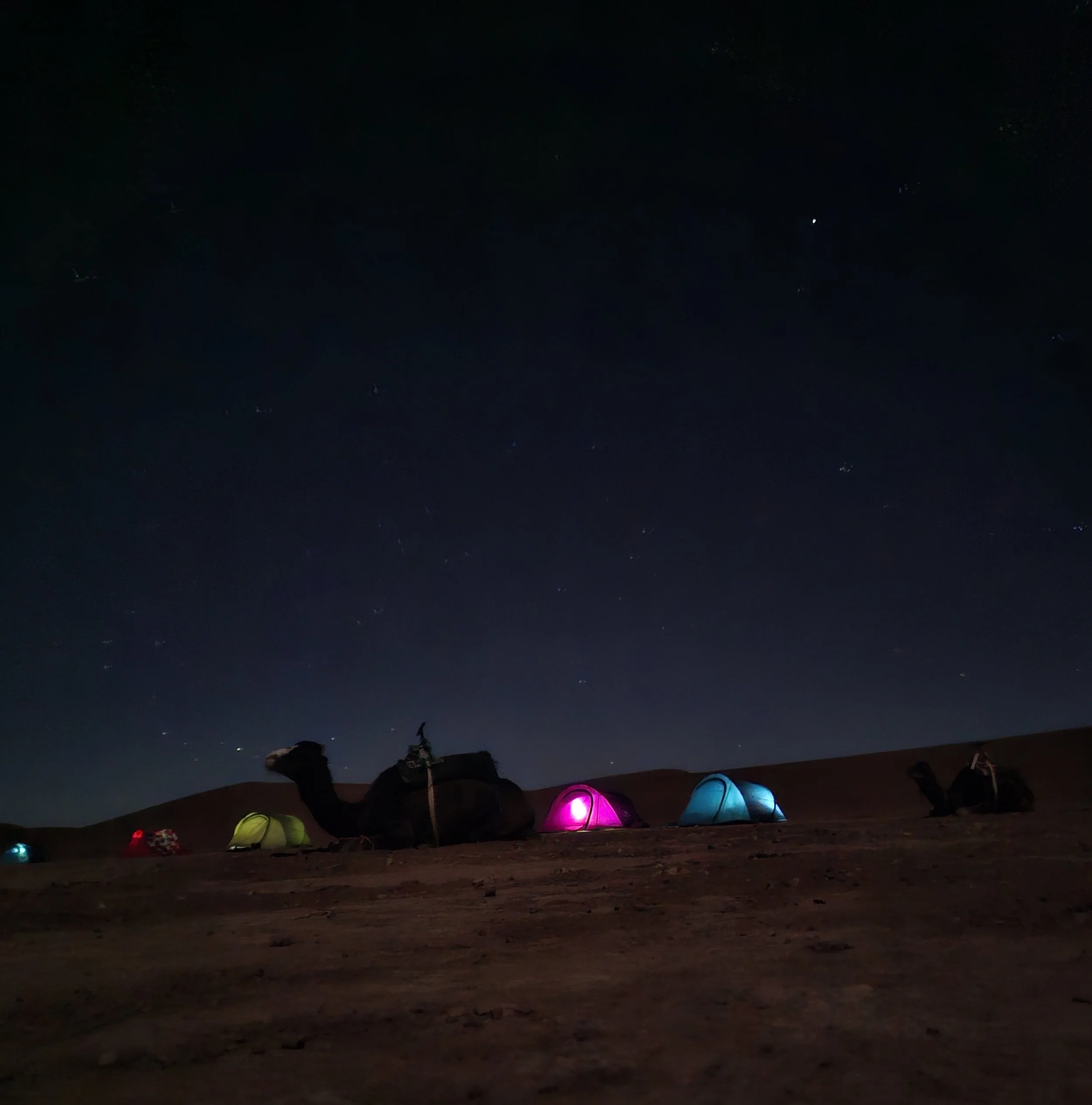 20260110_053947.jpg