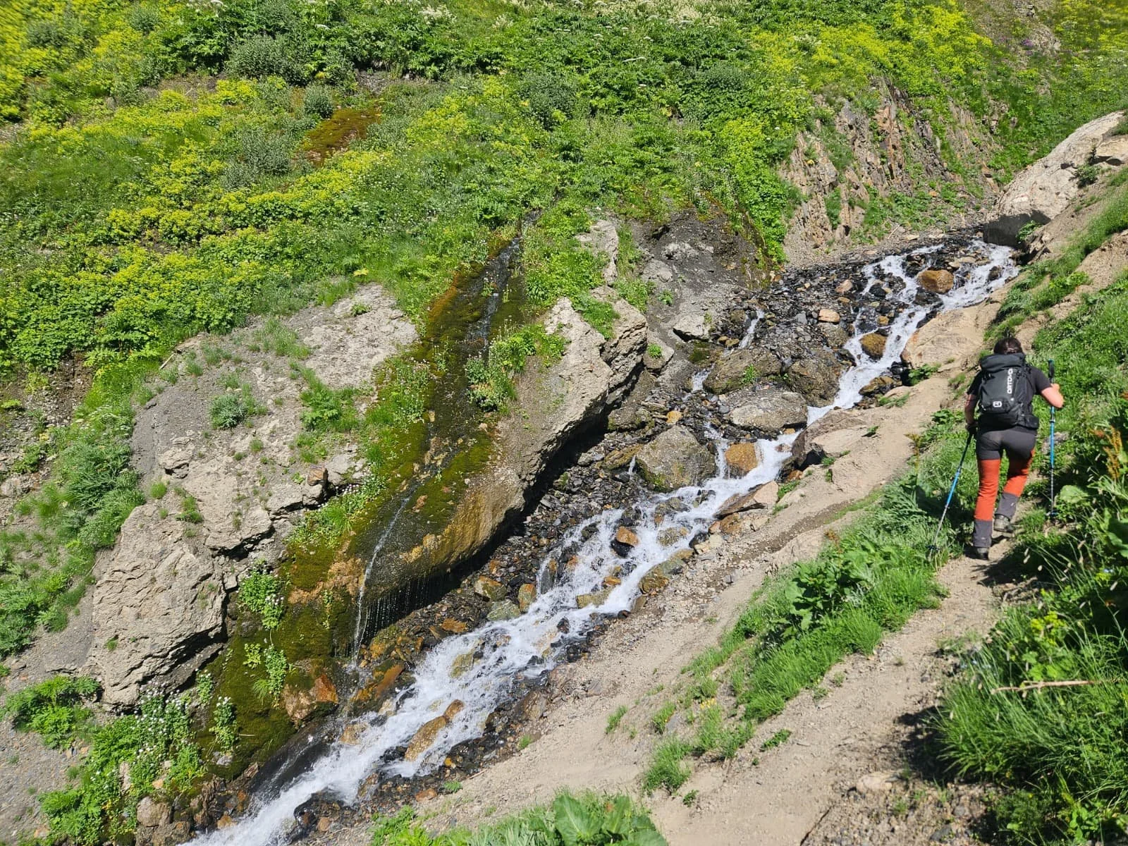 WhatsApp Image 2026-02-10 at 10.16.07.jpeg