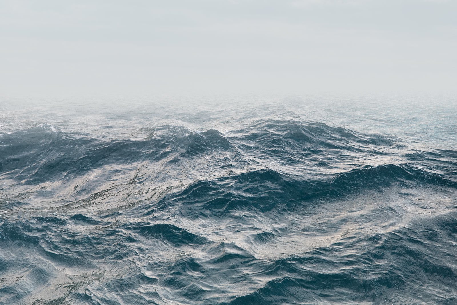 Chantae   
 Request this artwork 