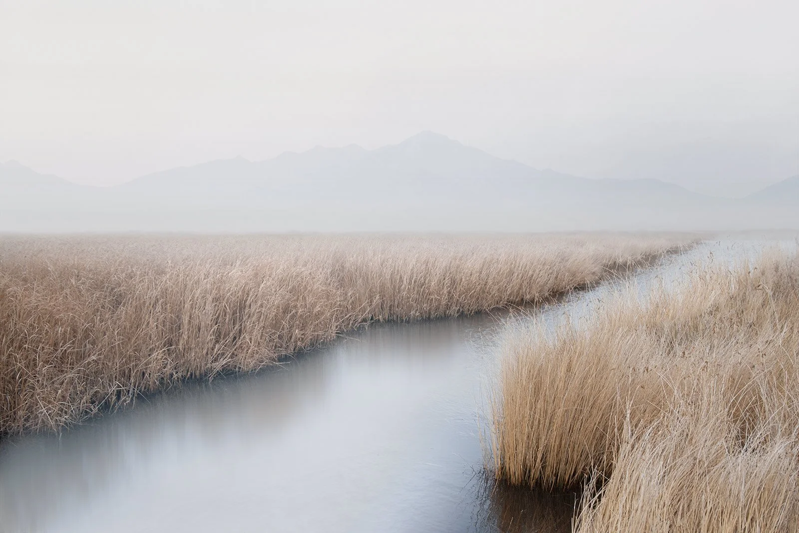 Emeline    
 Request this artwork 
