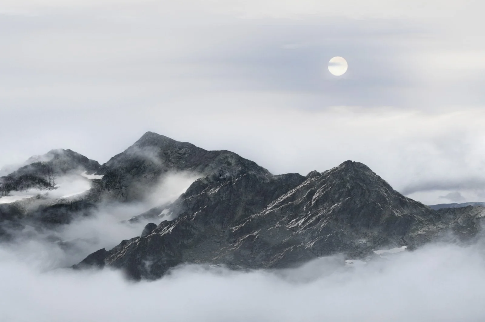 Oralia   
 Request this artwork 