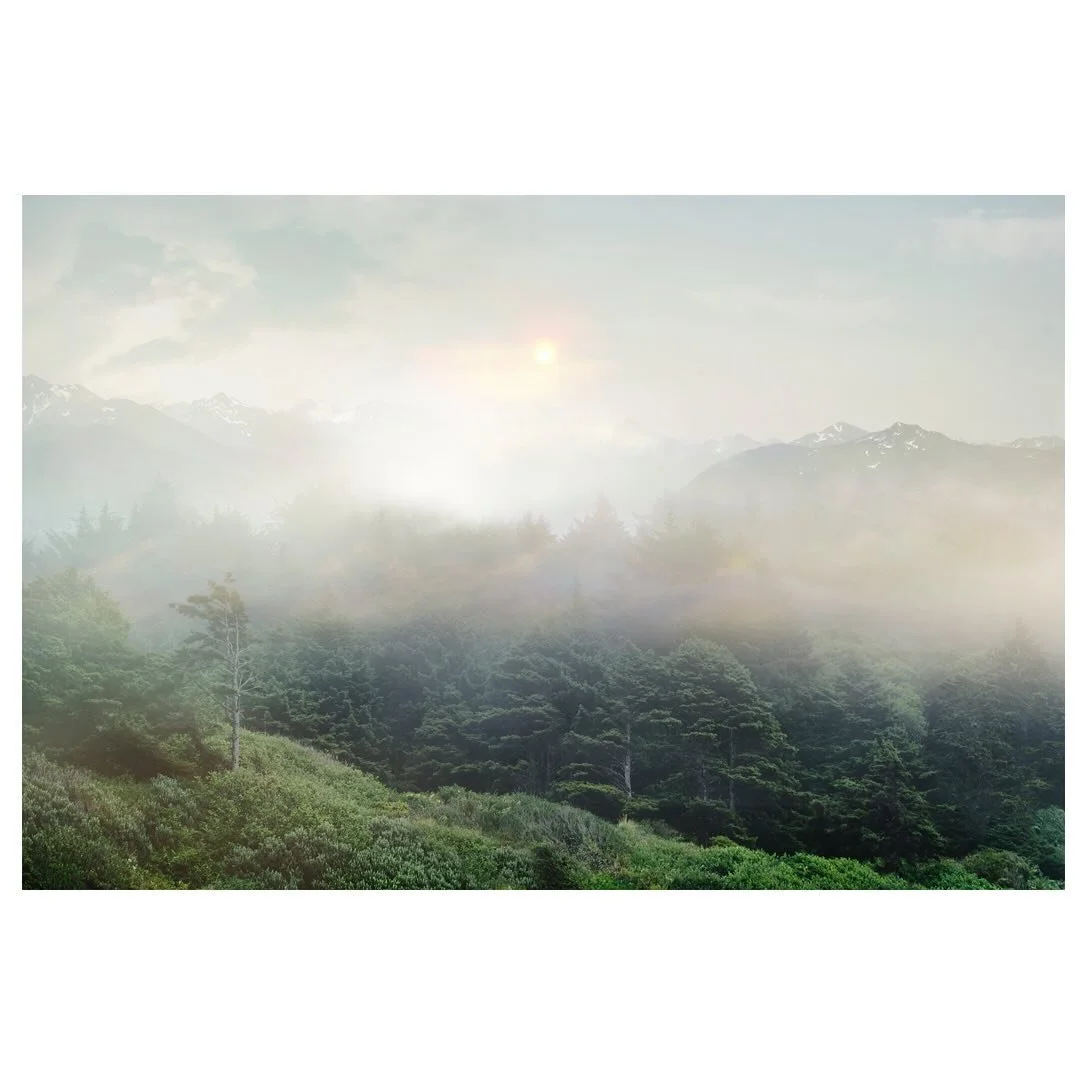 On white magnolias, gold of the setting sun, is dripping - Usuda Aro 臼田亜浪