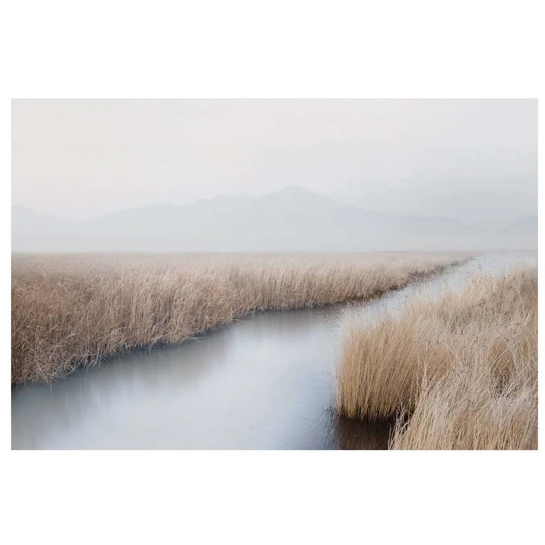 The day isn&rsquo;t long enough, for the song, of the skylark - Yosa Buson 与謝 蕪村