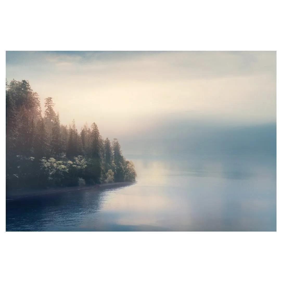 A winter stream, abloom on a little stone, blossoms of water - Murakami Kijo 村上 鬼城