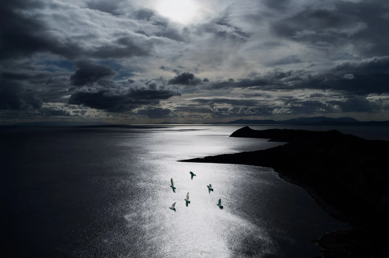 Ardor   
 Request this artwork 