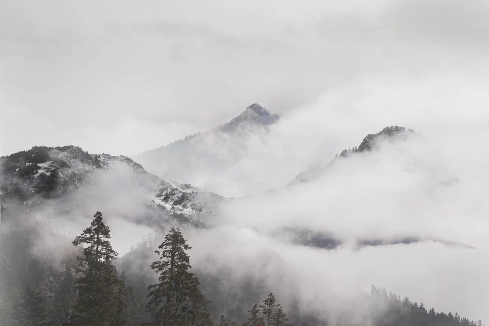 Armel   
 Request this artwork 