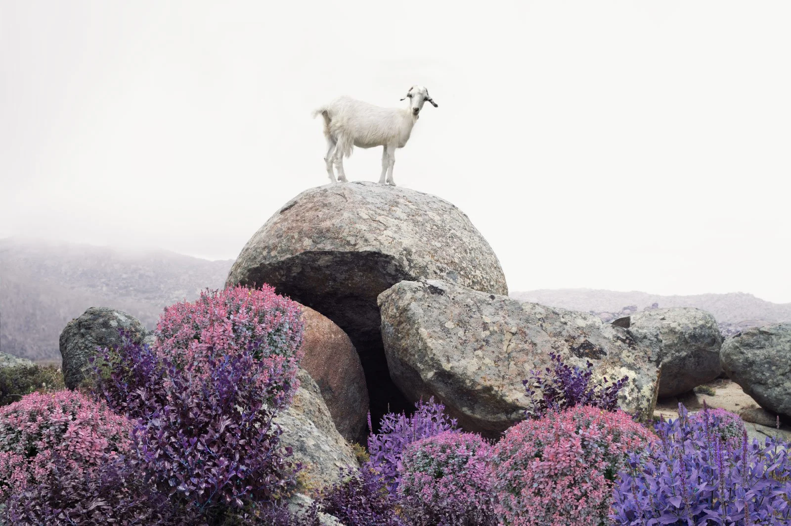 Berthe   
 Request this artwork 
