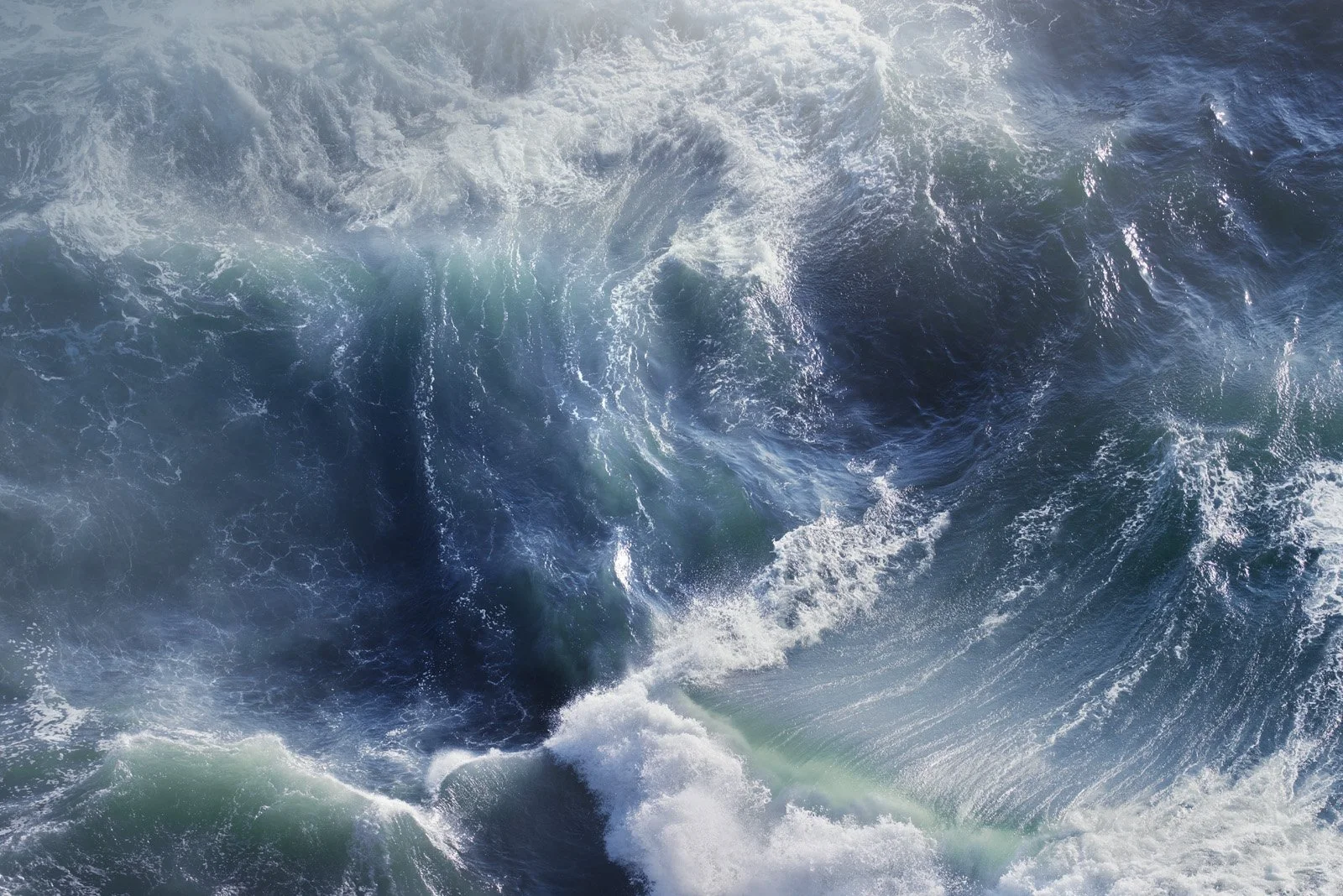 Thara   
 Request this artwork 
