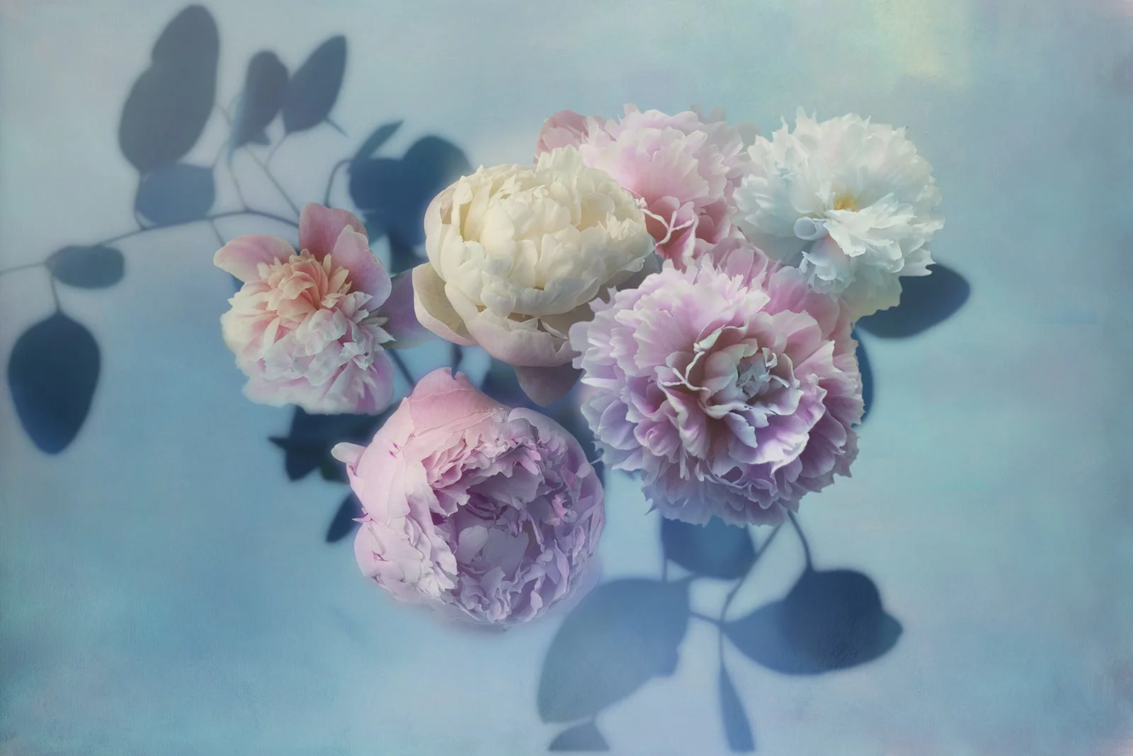 Quietblue   
 Request this artwork 