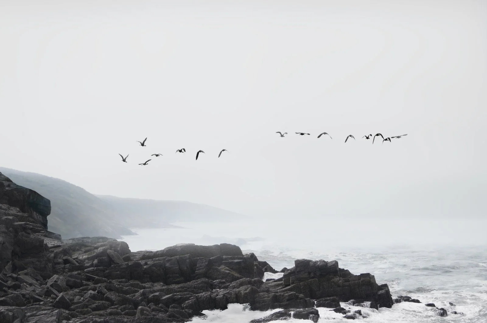 Alodie   
 Request this artwork 