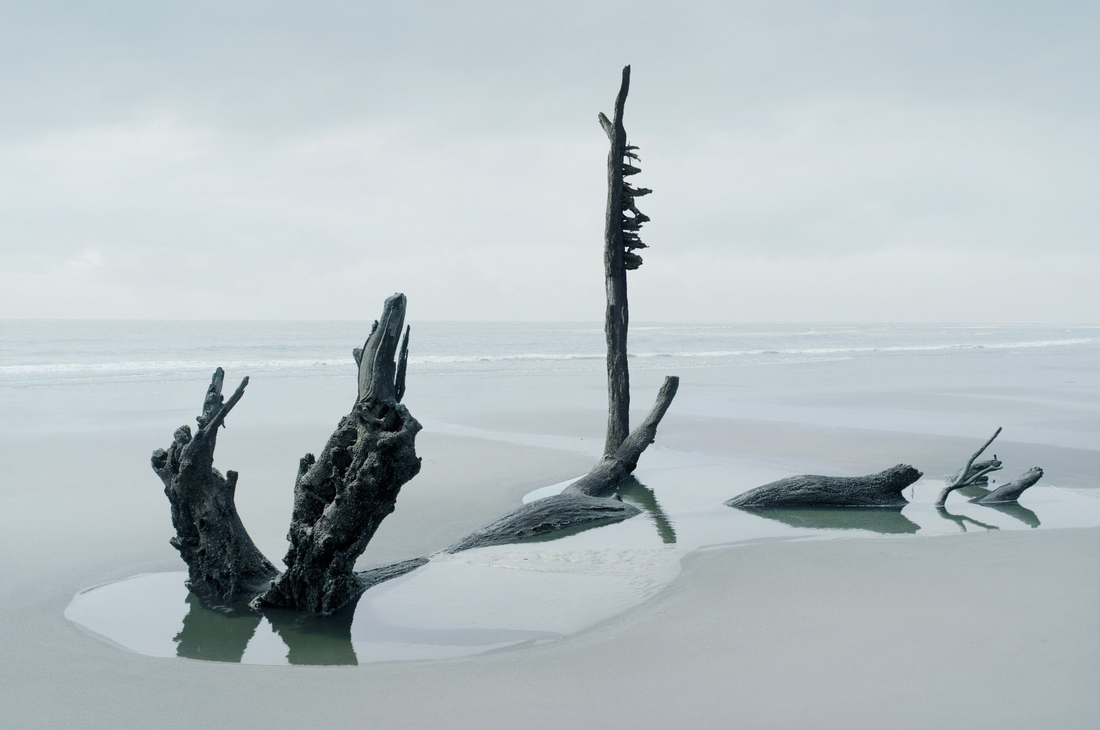 Senua   
 Request this artwork 