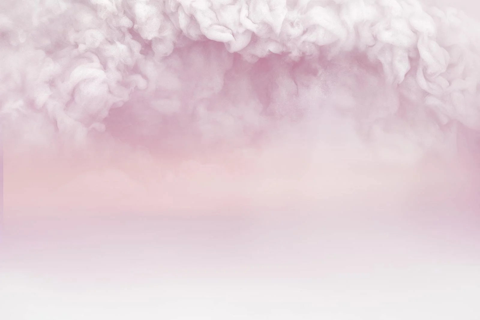 Eira   
 Request this artwork 