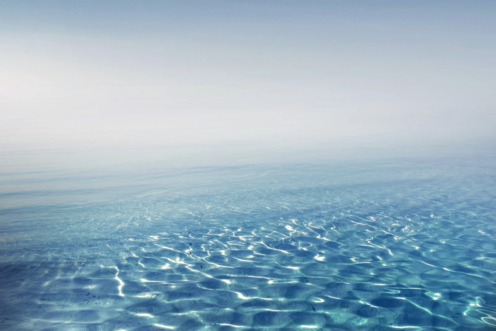 Nélia   
 Request this artwork 