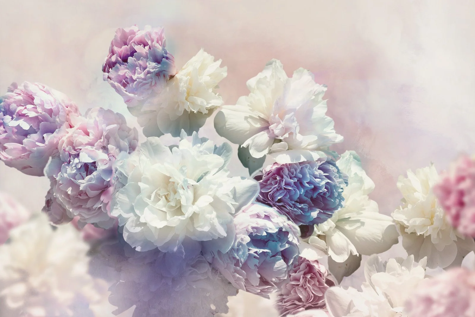 Stillwithin   
 Request this artwork 