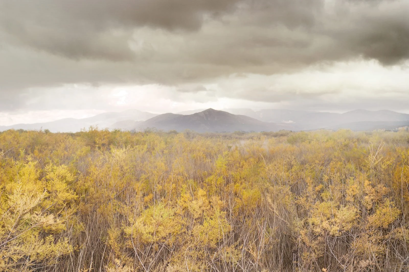 Ridge   
 Request this artwork 