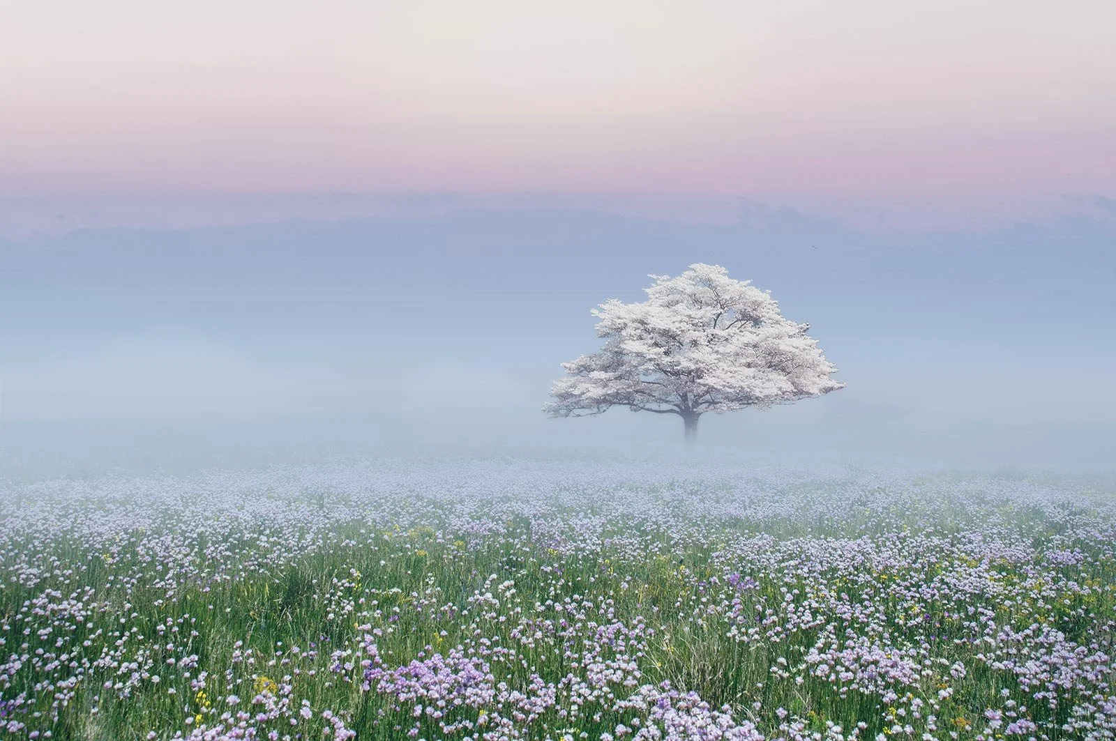 Pascaline   
 Request this artwork 
