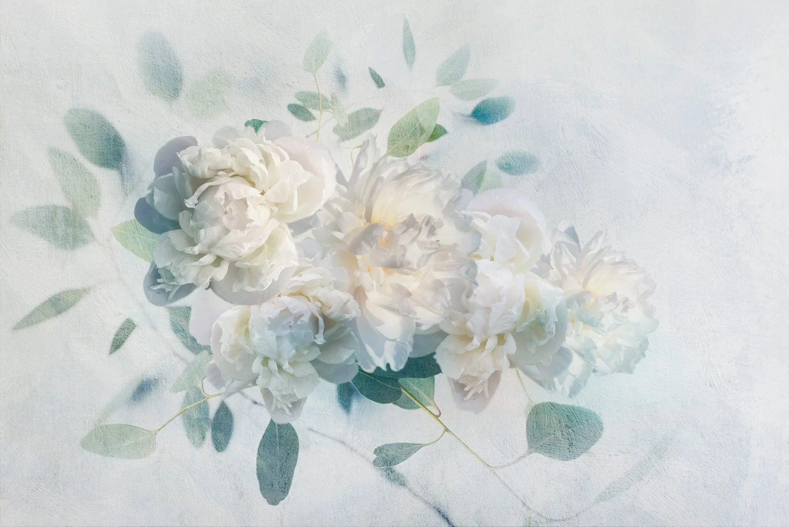 Palegold   
 Request this artwork 