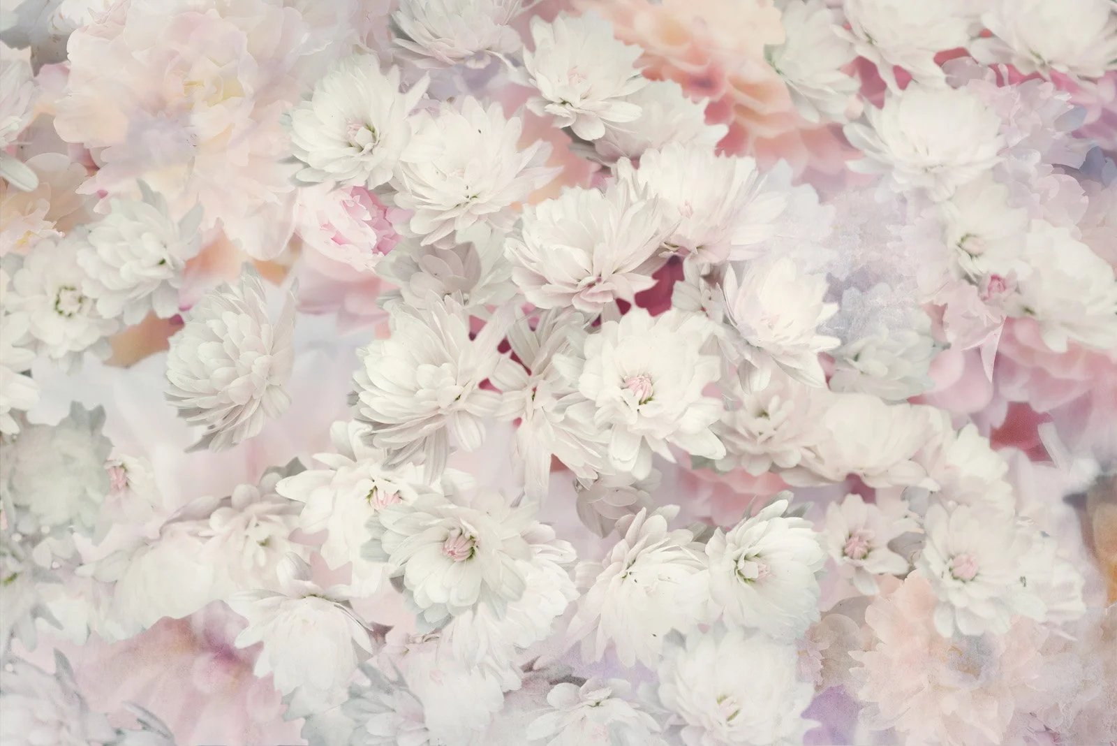 Lightmist   
 Request this artwork 