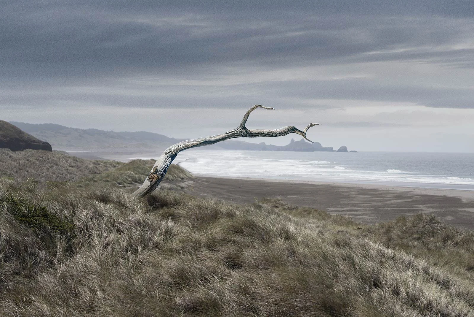 Vardar   
 Request this artwork 
