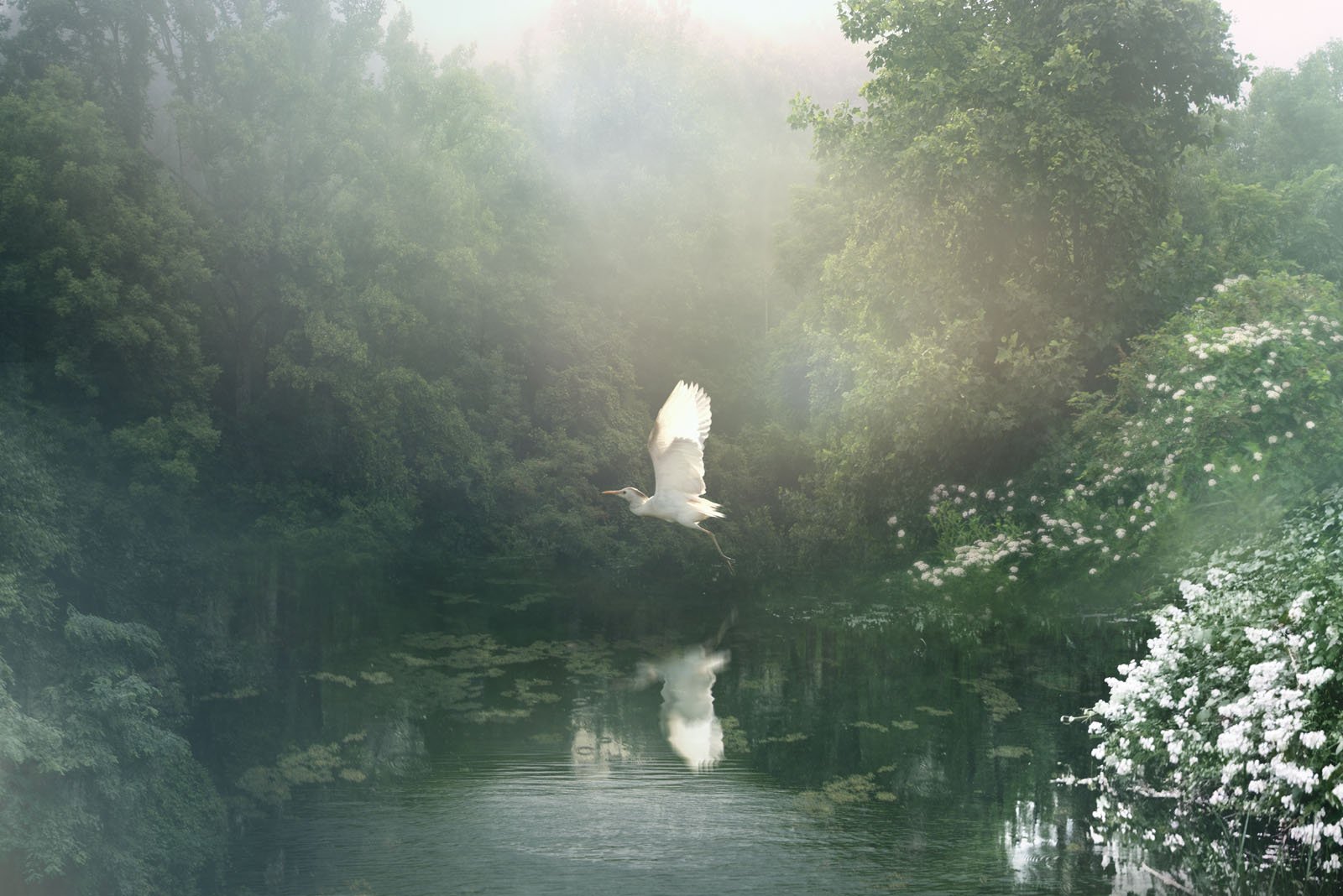 Eirene   
 Request this artwork 
