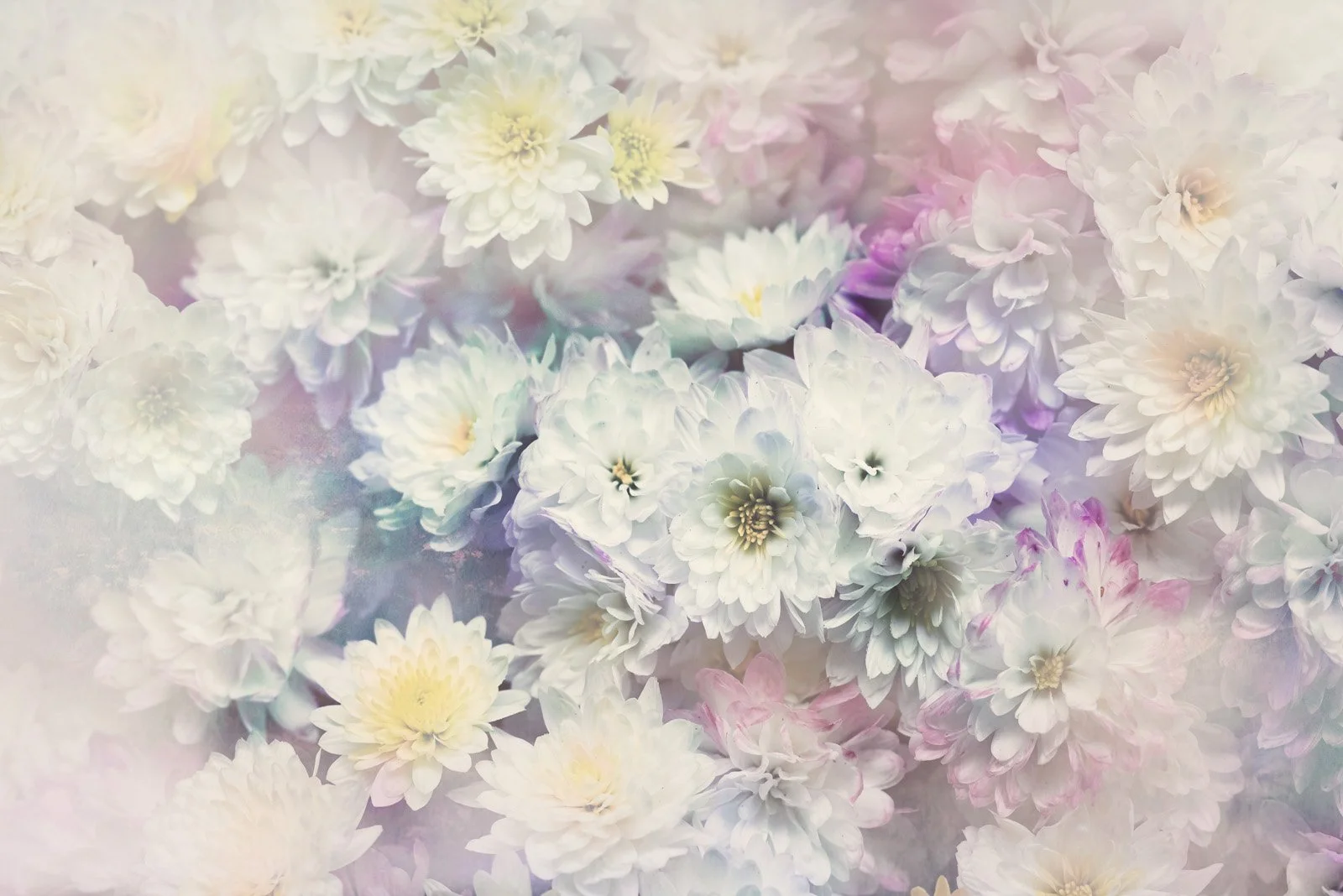 Softsky   
 Request this artwork 