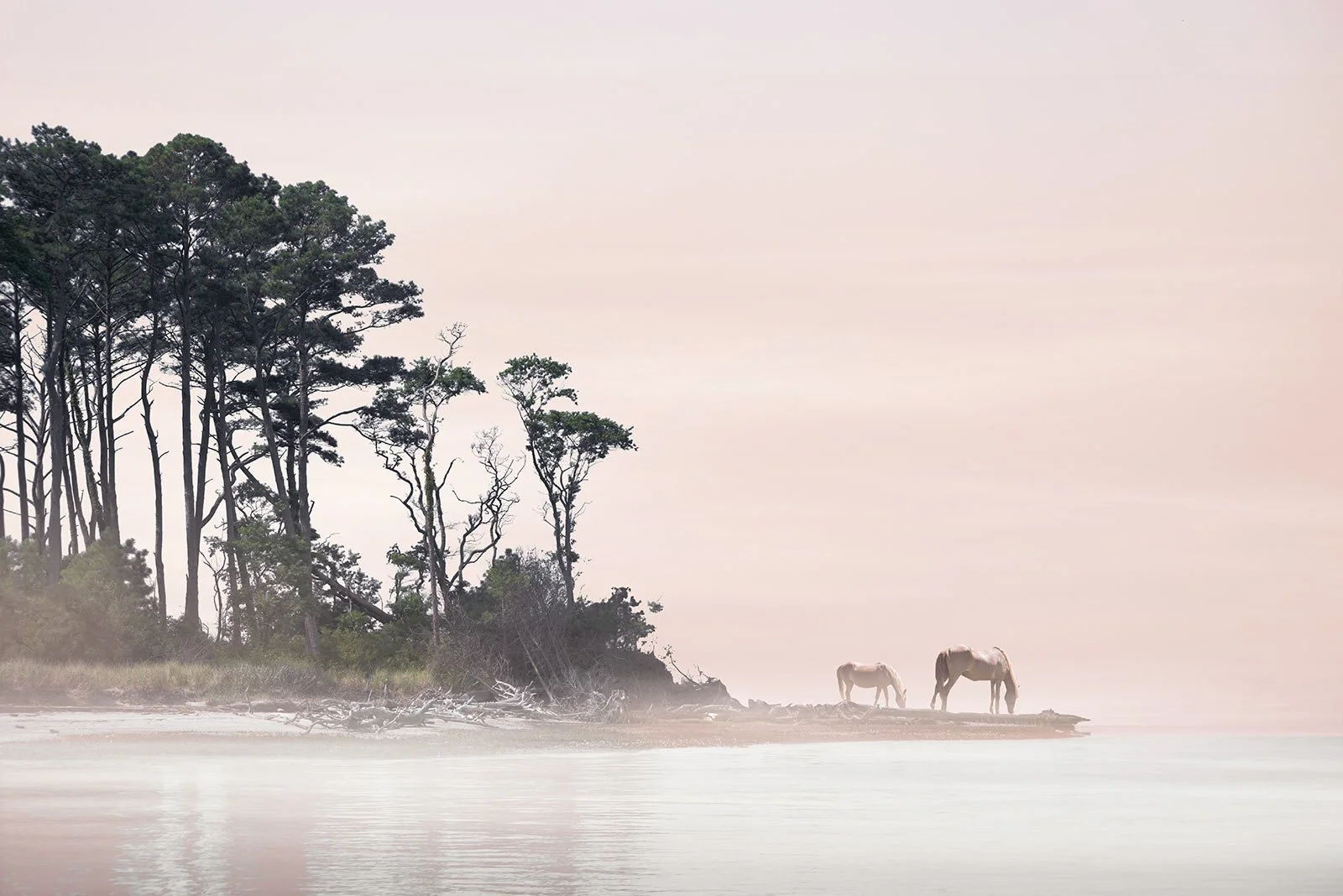 Blisse   
 Request this artwork 
