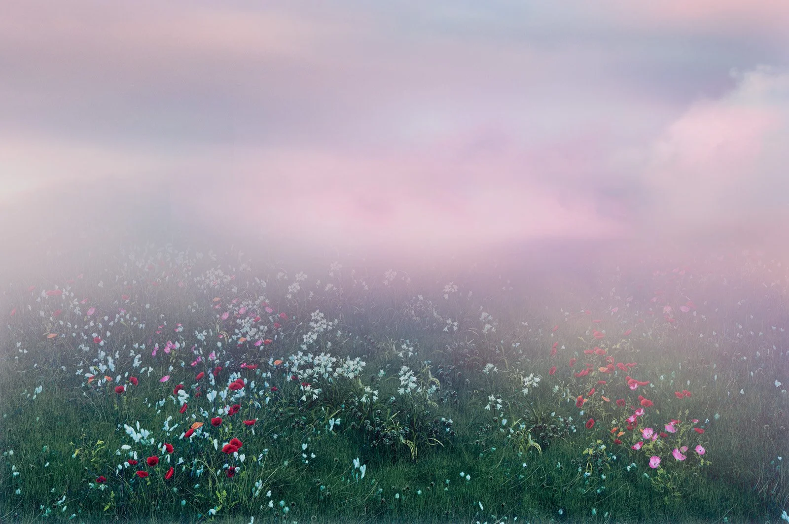 Softleaf   
 Request this artwork 