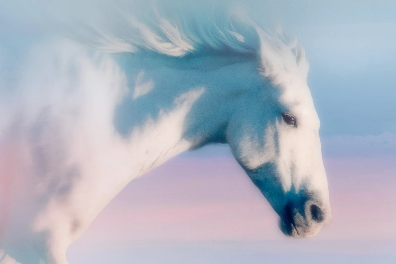 Blueward   
 Request this artwork 