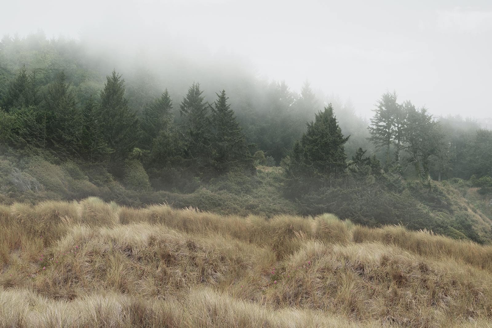 Crossing   
 Request this artwork 