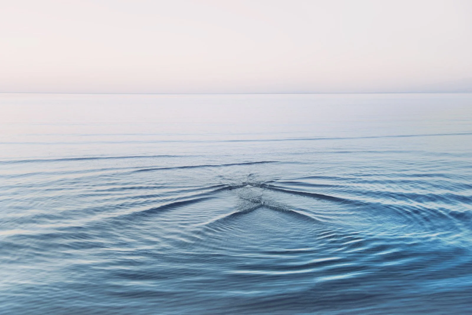 Laurel   
 Request this artwork 