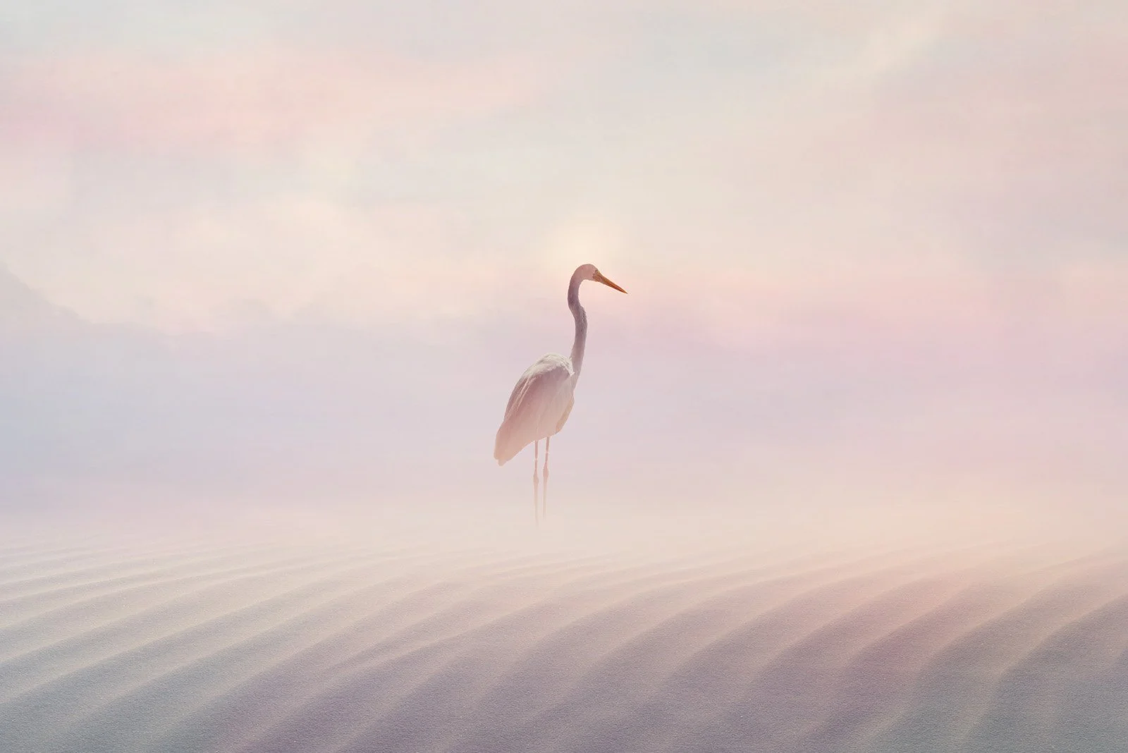 Isaline   
 Request this artwork 