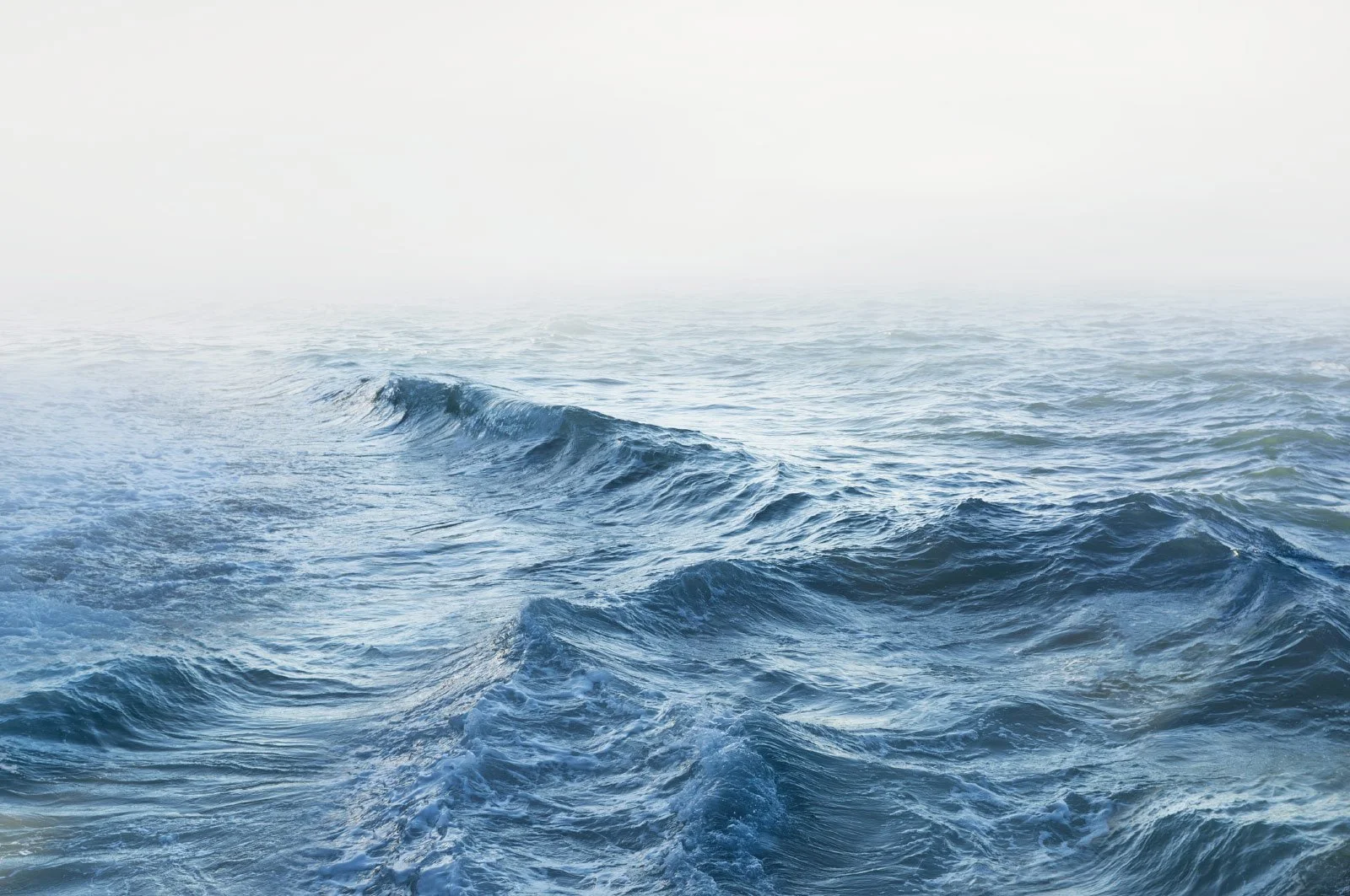 Édelie   
 Request this artwork 