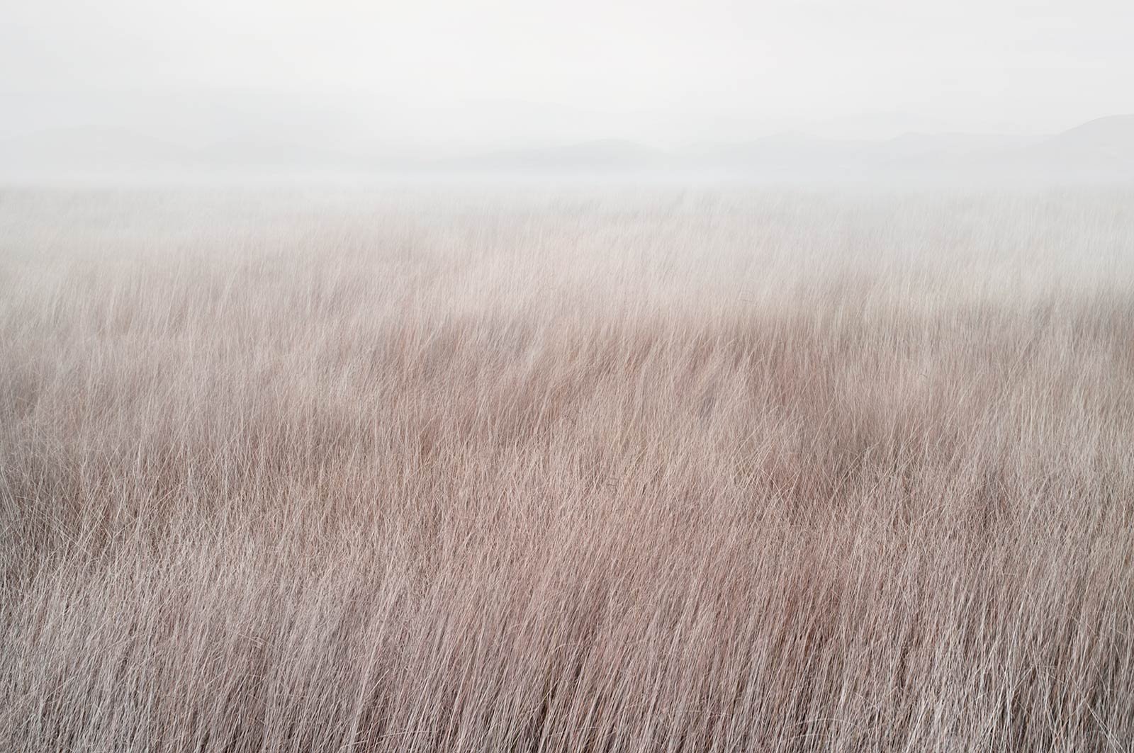 Eolia   
 Request this artwork 