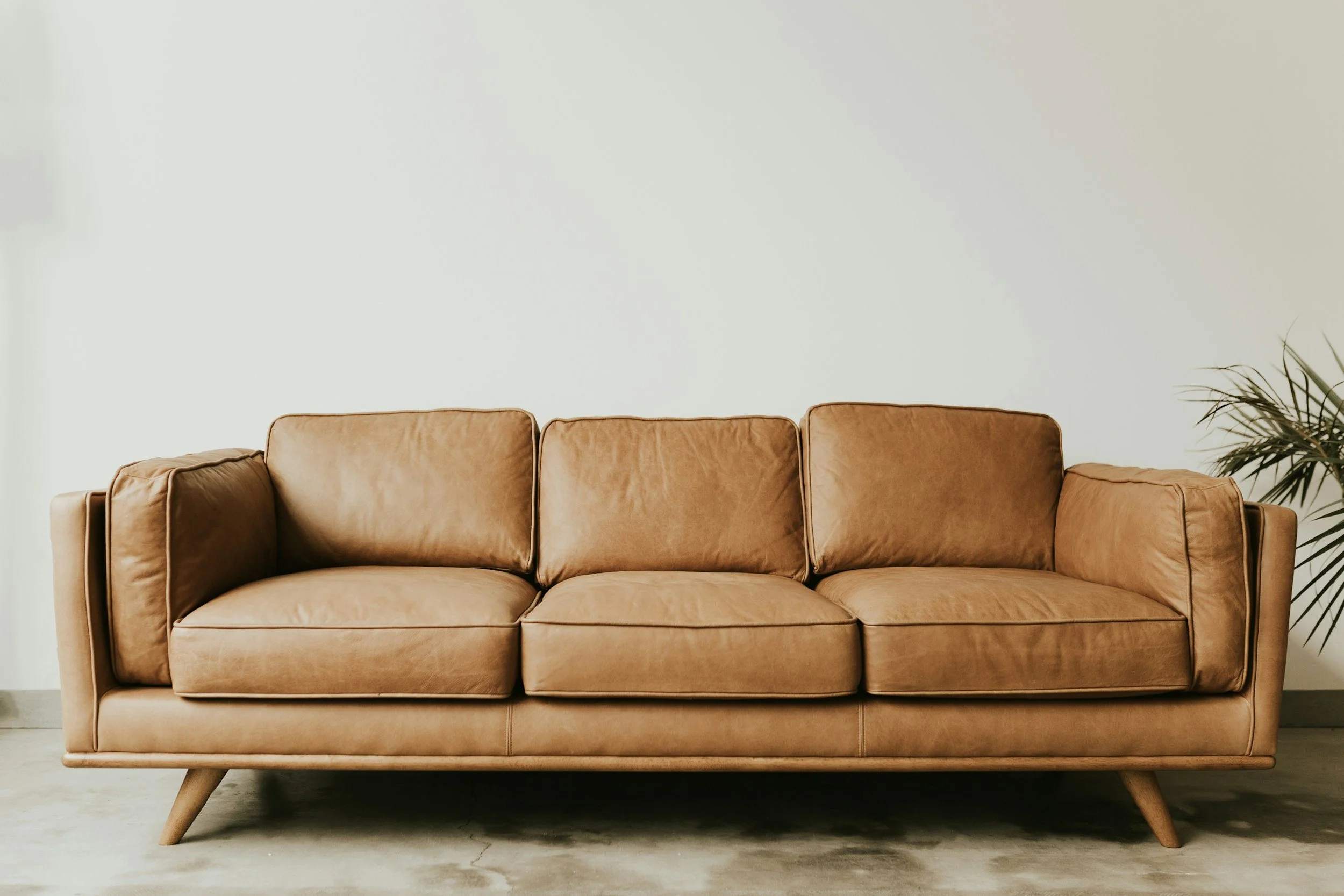 A brown leather sofa with three cushions, positioned against a plain white wall, with a potted plant to the right.