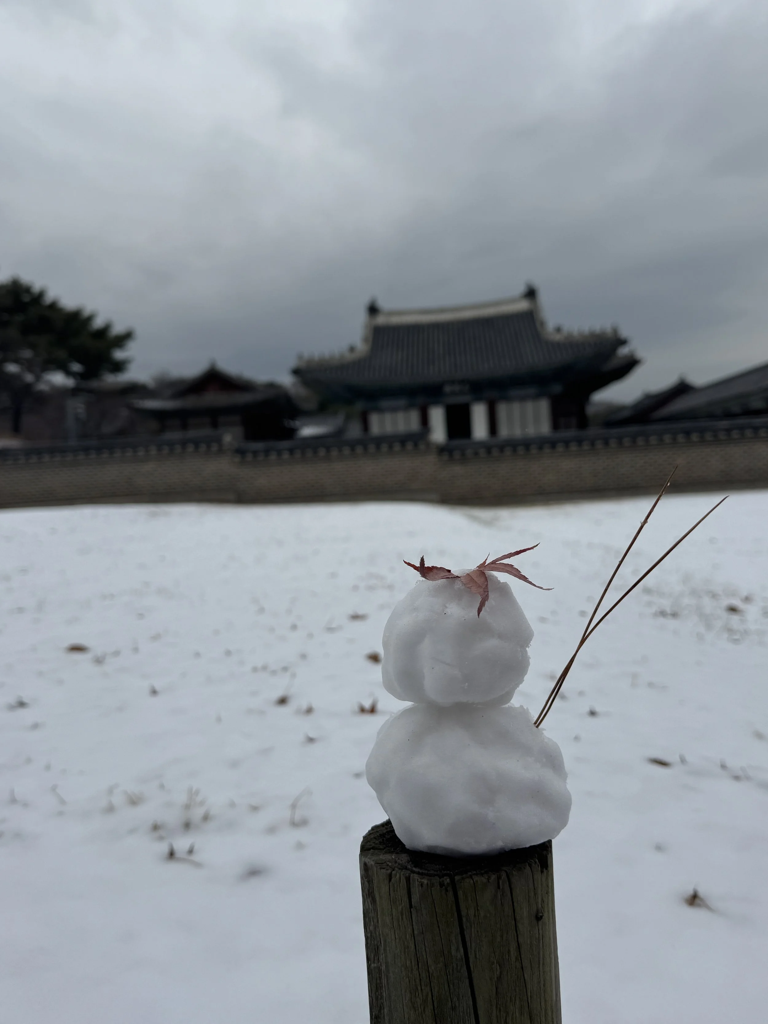 Week 13: nieuwe hobby, musea en bezoek deel 1 